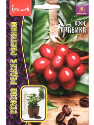 Кофе Арабика [Семена редких растений]