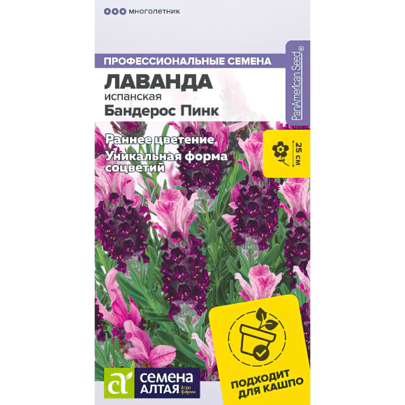 Лаванда Бандерос Пинк испанская [Семена алтая] купить с доставкой