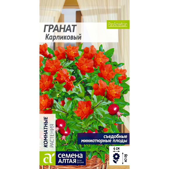 Гранат Карликовый [Семена алтая] купить с доставкой