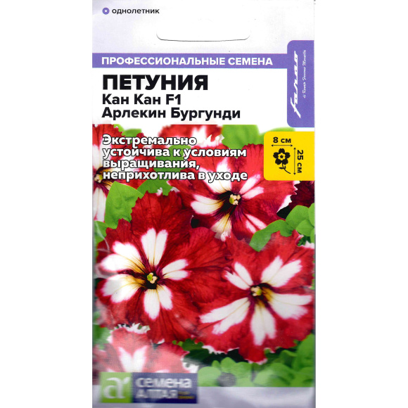 Петуния Кан Кан Арлекин Бургунди [Семена алтая] купить с доставкой