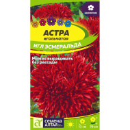Астра Эсмеральда Игл [Семена алтая]