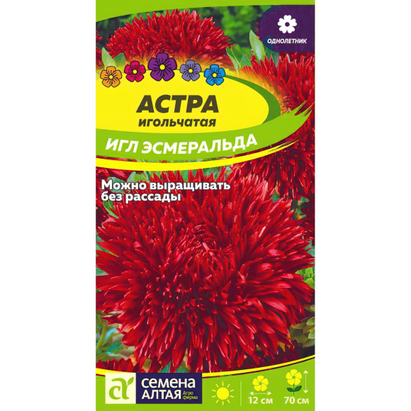 Астра Эсмеральда Игл [Семена алтая] купить с доставкой