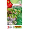 Смесь салатных культур Лионский салат [Аэлита]
