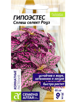 Гипоэстес Сплеш селект Роуз [Семена алтая]