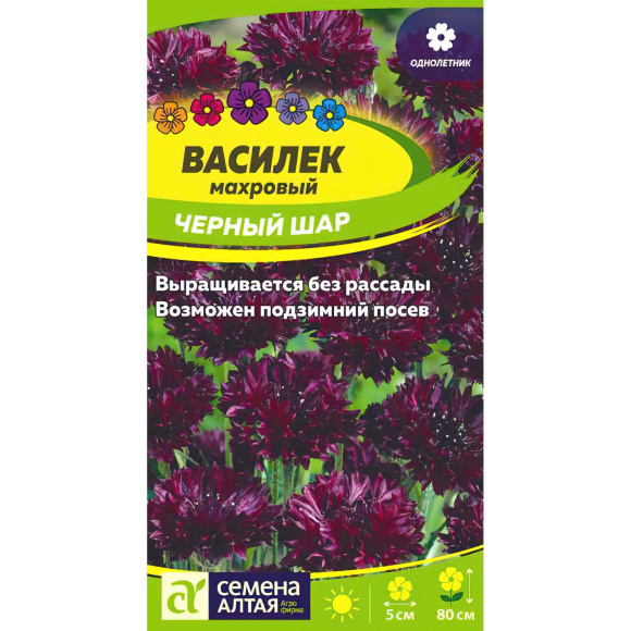 Василек Черный шар махровый [Семена алтая] купить с доставкой