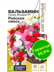 Бальзамин Супер Эльфин Райская Смесь [Семена алтая]