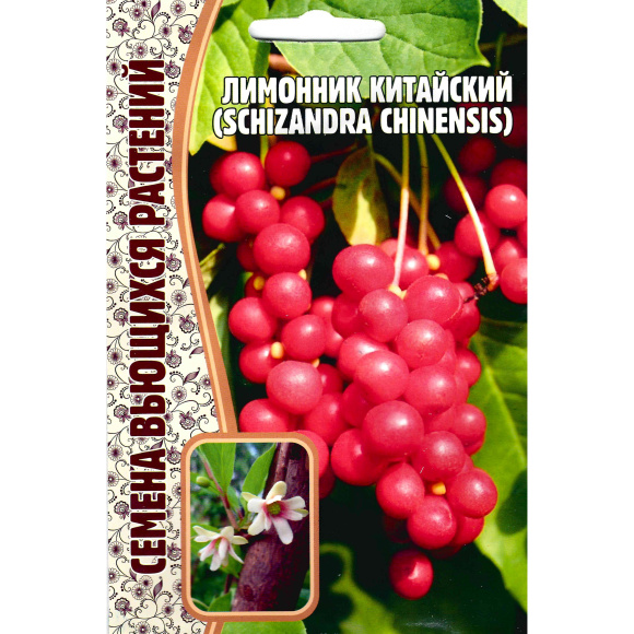 Лимонник Китайский [Семена редких растений] купить с доставкой