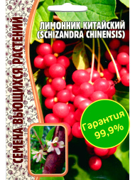 Лимонник Китайский [Семена редких растений]