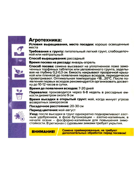 Лаванда Снежный колос английская [Семена алтая] купить с доставкой