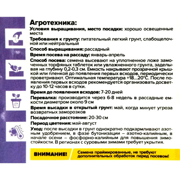 Лаванда Снежный колос английская [Семена алтая] купить с доставкой