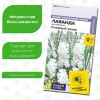Лаванда Снежный колос английская [Семена алтая]