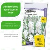 Лаванда Снежный колос английская [Семена алтая]
