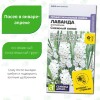 Лаванда Снежный колос английская [Семена алтая]