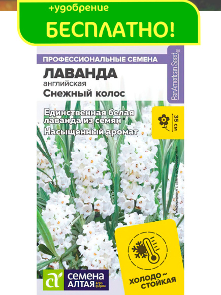 Лаванда Снежный колос английская [Семена алтая] купить с доставкой