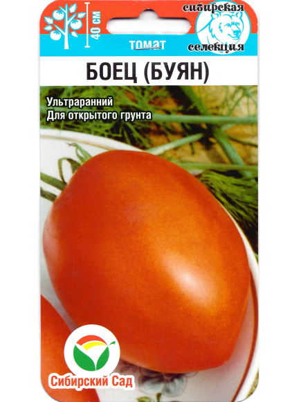 Томат Боец [Сибирский сад] купить с доставкой