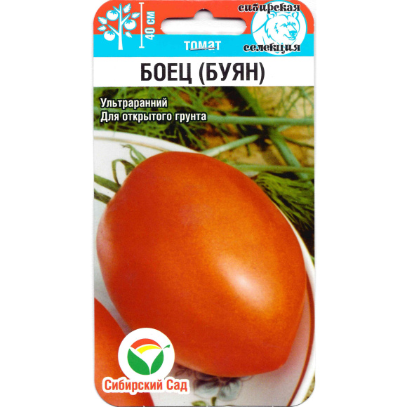 Томат Боец [Сибирский сад] купить с доставкой