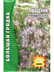 Фацелия 20г.[Семена редких растений]