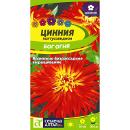 Цинния Бог Огня кактусовидная [Семена алтая]