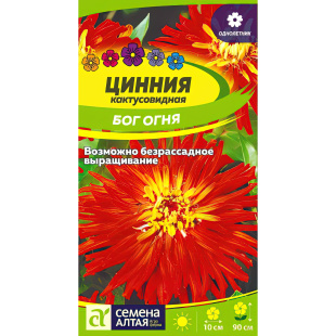 Цинния Бог Огня кактусовидная [Семена алтая]