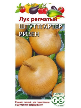 Лук репчатый Штуттгартер ризен [Гавриш]