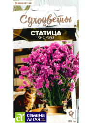 Статица Кис Роуз [Семена алтая]