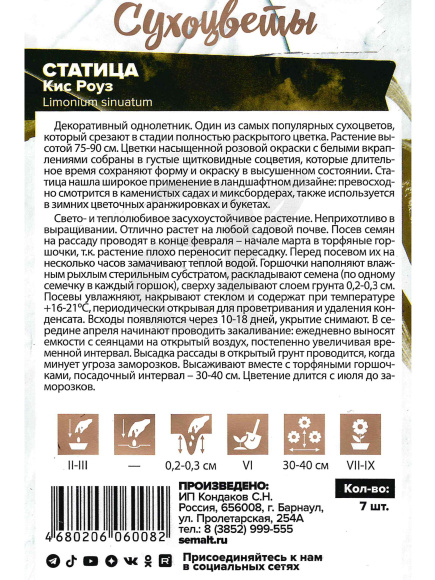 Статица Кис Роуз [Семена алтая] купить с доставкой