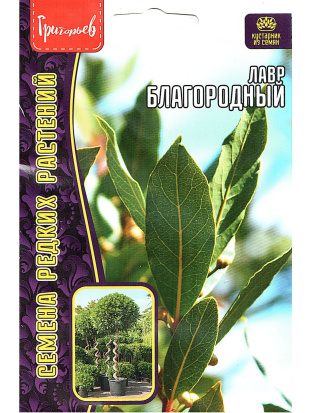 Лавр Благородный [Семена редких растений]