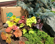 Бокс "Восхищай" Бокс "Восхищай"