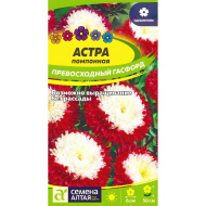 Астра Превосходный Гасфорд помпонная [Семена алтая]