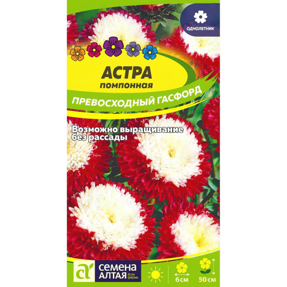 Астра Превосходный Гасфорд помпонная [Семена алтая] купить с доставкой