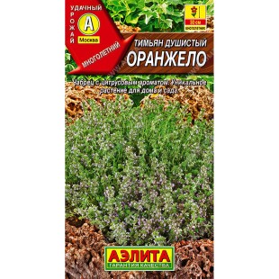 Тимьян Оранжело [Аэлита]