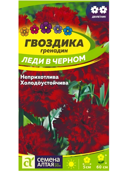Гвоздика гренадин Леди в черном [Семена Алтая] купить с доставкой