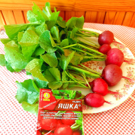 Редис Яшка [Аэлита]