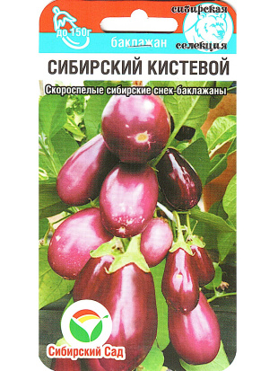 Баклажан Сибирский кистевой [Сибирский сад]