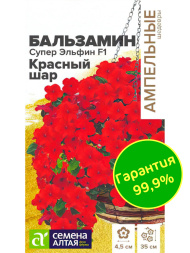 Бальзамин Супер Эльфин Красный шар [Семена алтая]