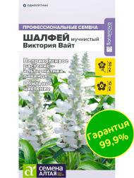 Шалфей Виктория Вайт мучнистый [Семена алтая]