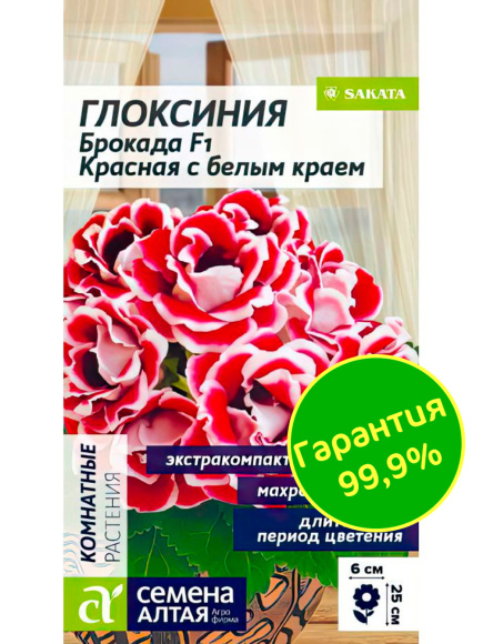 Глоксиния Брокада Красная с белым краем [Семена алтая] купить с доставкой