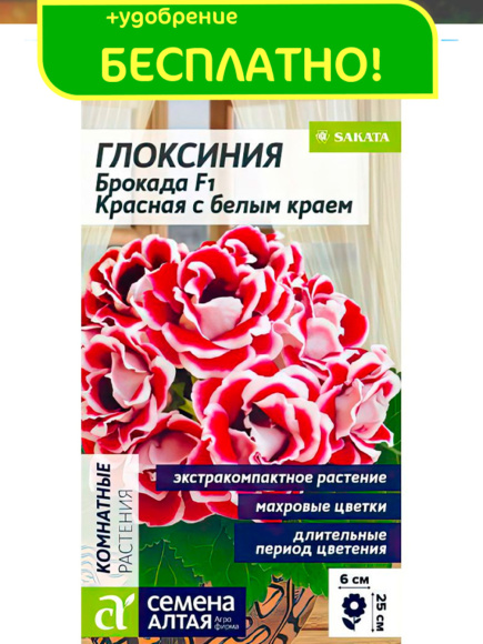 Глоксиния Брокада Красная с белым краем + подарок [Семена алтая] купить с доставкой