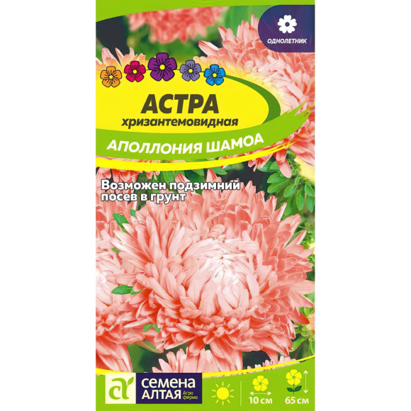 Астра Аполлония Шамоа [Семена алтая] с доставкой