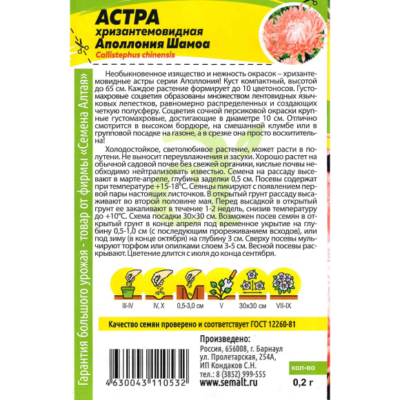 Астра Аполлония Шамоа [Семена алтая] купить с доставкой