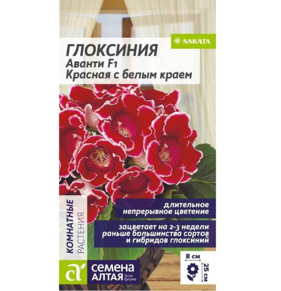 Глоксиния Аванти Красная с белым краем [Семена алтая] купить с доставкой