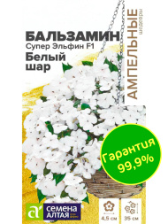 Бальзамин Супер Эльфин Белый шар [Семена алтая]