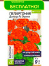 Пеларгония Дансер F2 Оранж + подарок [Семена алтая]