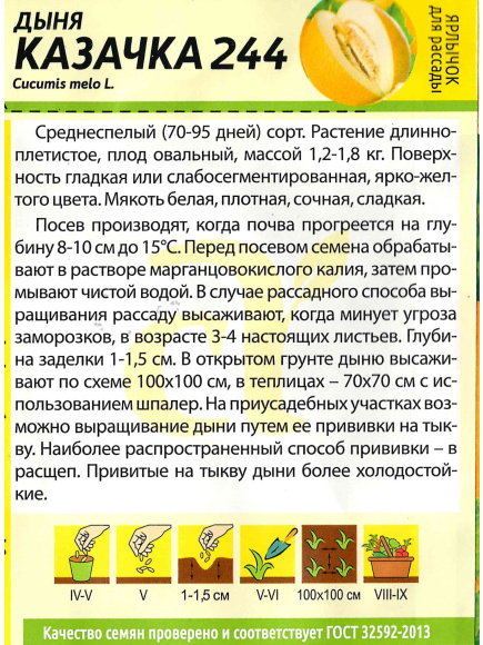 Дыня Казачка 244 [Семена алтая] купить с доставкой