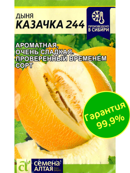 Дыня Казачка 244 [Семена алтая] купить с доставкой