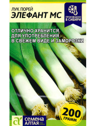 Лук Порей Элефант МС [Семена алтая]