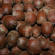 Дуб красный (Quercus rubra) купить с доставкой