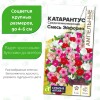 Катарантус Средиземноморский Смесь Эйфория [Семена алтая]