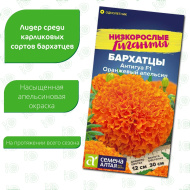 Бархатцы Антигуа Оранжевый апельсин [Семена алтая]