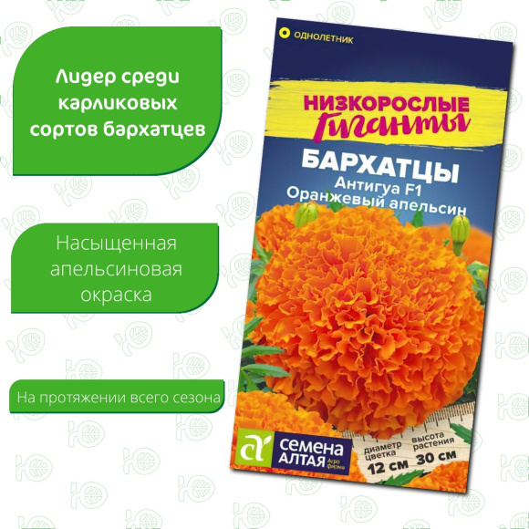 Бархатцы Антигуа Оранжевый апельсин [Семена алтая] с доставкой
